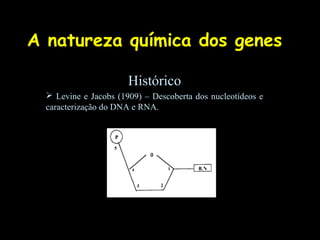 A natureza química dos genes

                       Histórico
   Levine e Jacobs (1909) – Descoberta dos nucleotídeos e
  caracterização do DNA e RNA.
 