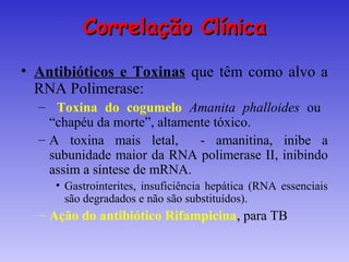 Correlação Clínica
• Antibióticos e Toxinas que têm como alvo a
  RNA Polimerase:
  – Toxina do cogumelo Amanita phalloides ou
    “chapéu da morte”, altamente tóxico.
  – A toxina mais letal,      - amanitina, inibe a
    subunidade maior da RNA polimerase II, inibindo
    assim a síntese de mRNA.
     • Gastrointerites, insuficiência hepática (RNA essenciais
       são degradados e não são substituídos).
  – Ação do antibiótico Rifampicina, para TB
 