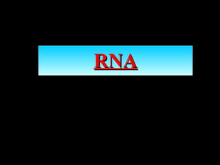 RNA
 