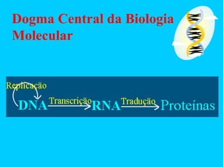 Dogma Central da Biologia
Molecular
 