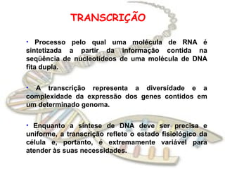 TRANSCRIÇÃO

• Processo pelo qual uma molécula de RNA é
sintetizada a partir da informação contida na
seqüência de nucleotídeos de uma molécula de DNA
fita dupla.


• A transcrição representa a diversidade e a
complexidade da expressão dos genes contidos em
um determinado genoma.


• Enquanto a síntese de DNA deve ser precisa e
uniforme, a transcrição reflete o estado fisiológico da
célula e, portanto, é extremamente variável para
atender às suas necessidades.
 