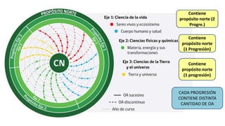 Contiene
propósito norte (2
Progre.)
Contiene
propósito norte
(1 Progresión)
Contiene
propósito norte
(1 progresión)
CADA PROGRESIÓN
CONTIENE DISTINTA
CANTIDAD DE OA
 