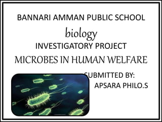 BANNARI AMMAN PUBLIC SCHOOL
biology
INVESTIGATORY PROJECT
MICROBES IN HUMAN WELFARE
SUBMITTED BY:
APSARA PHILO.S
 