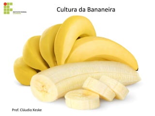Cultura da Bananeira
Prof. Cláudio Keske
 