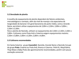 3.2 Densidade de plantio
A escolha do espaçamento de plantio dependerá de fatores ambientais,
mercadológicos e varietais, além do nível de manejo e da expectativa de
longevidade do bananal. Em geral bananeiras de porte médio, como a Grande
Naine, permitem utilizar espaçamentos de 2,00m x 2,50m; 2,00m x 3,00m ;
2,50m x 2,50m.
Para o plantio de Nanicão, utilizam-se espaçamentos de 2,50m x 2,50m; 2,50m x
3,00m. Cultivares como Prata Anã e Catarina exigem espaçamentos maiores:
2,50m x 3,00m; 2,00m x 3,50m; 2,00m x 4,00m.
3.3 Cultivares recomendados
Em Santa Catarina: grupo Cavendish: Nanicão, Grande Naine e Nanicão Corupá
do grupo Prata: Enxerto ou Prata Anã, Branca e Catarina. FHIA-01, Maçã Bahia,
Thap Maeo e Baby Prata são agromicamente recomendados, porém com pouca
aceitação comercial.
 