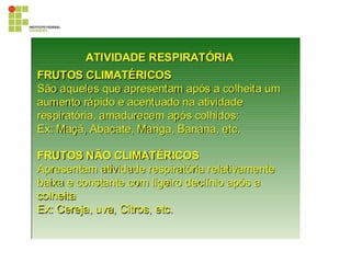 395819028-Cultura-Da-Bananeira.pdf