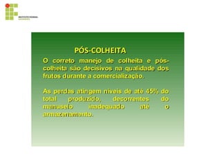 395819028-Cultura-Da-Bananeira.pdf