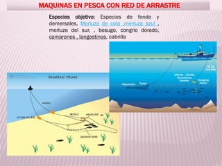MAQUINAS EN PESCA CON RED DE ARRASTRE
Especies objetivo: Especies de fondo y
demersales. Merluza de cola ,merluza azul ,
merluza del sur, , besugo, congrio dorado,
camarones , langostinos, cabrilla
 