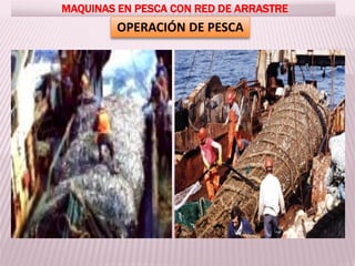 MAQUINAS EN PESCA CON RED DE ARRASTRE
OPERACIÓN DE PESCA
 