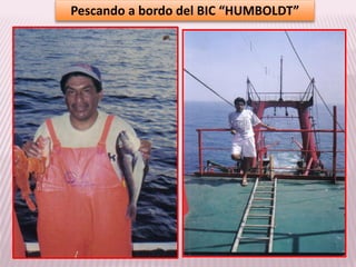 Pescando a bordo del BIC “HUMBOLDT”
 