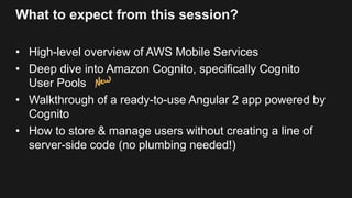 What to expect from this session?
• High-level overview of AWS Mobile Services
• Deep dive into Amazon Cognito, specifically Cognito
User Pools
• Walkthrough of a ready-to-use Angular 2 app powered by
Cognito
• How to store & manage users without creating a line of
server-side code (no plumbing needed!)
 