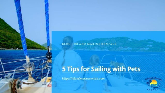 https://islandmarinerentals.com
5 Tips for Sailing with Pets
B L O G | I S L A N D M A R I N E R E N T A L S
 