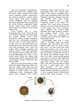 Apakah Ular Mengalami Pertumbuhan Embrio di Luar Induk?