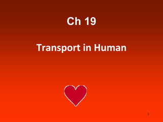 Ch 19
Transport in Human
1
 