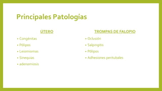 Principales Patologías
ÚTERO
• Congénitas
• Pólipos
• Leiomiomas
• Sinequias
• adenomiosis
TROMPAS DE FALOPIO
• Oclusión
• Salpingitis
• Pólipos
• Adhesiones peritubales
 