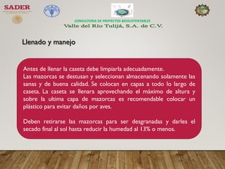 397244672-Manejo-de-Post-Cosecha-de-Maiz.pdf