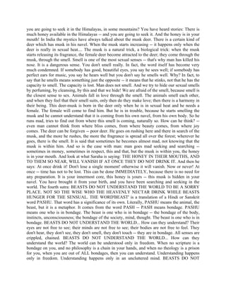you are going to seek it in the Himalayas, in some mountains? You have heard stories: There is
much honey available in the Himalayas -- and you are going to seek it. And the honey is in your
mouth! In India the mystics have always talked about the musk deer. There is a certain kind of
deer which has musk in his navel. When the musk starts increasing -- it happens only when the
deer is really in sexual heat.... The musk is a natural trick, a biological trick: when the musk
starts releasing its fragrance, the female deer become attracted to the deer; they come through the
musk, through the smell. Smell is one of the most sexual senses -- that's why man has killed his
nose. It is a dangerous sense. You don't smell really. In fact, the word itself has become very
much condemned. If somebody has good, beautiful eyes, you say he sees well; if somebody has
perfect ears for music, you say he hears well but you don't say he smells well. Why? In fact, to
say that he smells means something just the opposite -- it means that he stinks, not that he has the
capacity to smell. The capacity is lost. Man does not smell. And we try to hide our sexual smells
by perfuming, by cleansing, by this and that we hide! We are afraid of the smell, because smell is
the closest sense to sex. Animals fall in love through the smell. The animals smell each other,
and when they feel that their smell suits, only then do they make love; then there is a harmony in
their being. This deer-musk is born in the deer only when he is in sexual heat and he needs a
female. The female will come to find him. But he is in trouble, because he starts smelling the
musk and he cannot understand that it is coming from his own navel, from his own body. So he
runs mad, tries to find out from where this smell is coming, naturally so. How can he think? --
even man cannot think from where bliss comes, from where beauty comes, from where joy
comes. The deer can be forgiven -- poor deer. He goes on rushing here and there in search of the
musk, and the more he rushes, the more the fragrance is spread all over the forest; wherever he
goes, there is the smell. It is said that sometimes he becomes almost mad, not knowing that the
musk is within him. And so is the case with man: man goes mad seeking and searching --
sometimes in money, sometimes in respect, this and that, but the musk is within you, the honey
is in your mouth. And look at what Saraha is saying: THE HONEY IN THEIR MOUTHS, AND
TO THEM SO NEAR, WILL VANISH IF AT ONCE THEY DO NOT DRINK IT. And then he
says: At once drink it! Don't lose a single moment! otherwise it will vanish. Now or never! At
once -- time has not to be lost. This can be done IMMEDIATELY, because there is no need for
any preparation. It is your innermost core, this honey is yours -- this musk is hidden in your
navel. You have brought it from your birth, and you have been searching and seeking in the
world. The fourth sutra: BEASTS DO NOT UNDERSTAND THE WORLD TO BE A SORRY
PLACE. NOT SO THE WISE WHO THE HEAVENLY NECTAR DRINK WHILE BEASTS
HUNGER FOR THE SENSUAL. THE WORD'BEAST' is a translation of a Hindi or Sanskrit
word PASHU. That word has a significance of its own. Literally, PASHU means the animal, the
beast, but it is a metaphor. It comes from the word PASH -- PASH means bondage. PASHU
means one who is in bondage. The beast is one who is in bondage -- the bondage of the body,
instincts, unconsciousness; the bondage of the society, mind, thought. The beast is one who is in
bondage. BEASTS DO NOT UNDERSTAND THE WORLD... How can they understand? Their
eyes are not free to see; their minds are not free to see; their bodies are not free to feel. They
don't hear, they don't see, they don't smell, they don't touch -- they are in bondage. All senses are
crippled, chained. BEASTS DO NOT UNDERSTAND THE WORLD... How can they
understand the world? The world can be understood only in freedom. When no scripture is a
bondage on you, and no philosophy is a chain in your hands, and when no theology is a prison
for you, when you are out of ALL bondages, then you can understand. Understanding happens
only in freedom. Understanding happens only in an uncluttered mind. BEASTS DO NOT
 