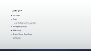 Itinerary
 Positives
 Goals
 HierarchalVerbal Intervention
 Prompt Hierarchy
 6STraining
 Screen Usage Guidelines
 Conclusion
 