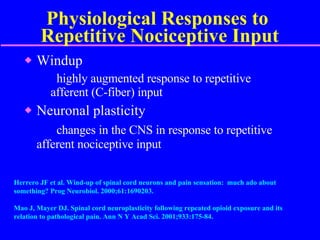 Physiological Responses to  Repetitive Nociceptive Input Windup highly augmented response to repetitive  afferent (C-fiber) input  Neuronal plasticity changes in the CNS in response to repetitive  afferent nociceptive input Herrero JF et al. Wind-up of spinal cord neurons and pain sensation:  much ado about something? Prog Neurobiol. 2000;61:1690203.  Mao J, Mayer DJ. Spinal cord neuroplasticity following repeated opioid exposure and its relation to pathological pain. Ann N Y Acad Sci. 2001;933:175-84. 