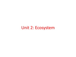Unit 2: Ecosystem
 