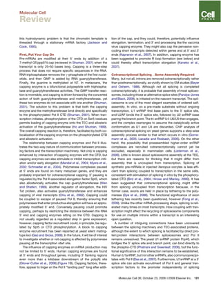 this hydrodynamic problem is that the chromatin template is
threaded through a stationary mRNA factory (Jackson and
Cook, 1995).
First, Put Your Cap On
Pre-mRNAs are modiﬁed at their 50
ends by addition of a
7-methyl G50
ppp50
N cap (reviewed in Shuman, 2001) when the
transcript is only 25–50 bases long. Capping is a three-step
process that does not require speciﬁc sequences in the RNA.
RNA triphosphatase removes the g-phosphate of the ﬁrst nucle-
otide, and then GMP is added by RNA guanylyltransferase.
Finally, the guanine is methylated at N7. In metazoans, the
capping enzyme is a bifunctional polypeptide with triphospha-
tase and guanylyltransferase activities. The GMP transfer reac-
tion is reversible, and capping is driven forward by the concerted
action of both guanylyltransferase and methyltransferase, yet
these two enzymes do not associate with one another (Shuman,
2001). The solution to this problem is that both the capping
enzyme and the methyltransferase bind directly and speciﬁcally
to the phosphorylated Pol II CTD (Shuman, 2001). When tran-
scription initiates, phosphorylation of the CTD on Ser5 residues
permits loading of capping enzyme onto the TEC and allosteric
activation of the guanylyltransferase (Ho and Shuman, 1999).
The overall capping reaction is, therefore, facilitated by both co-
localization of the capping enzymes on the phosphorylated CTD
and allosteric activation.
The relationship between capping enzymes and Pol II illus-
trates the two-way nature of communication between process-
ing factors and the transcription machinery. Not only is capping
enhanced by interaction of capping enzymes with the CTD, but
capping enzymes can also stimulate or inhibit transcription initi-
ation and/or early elongation (Mandal et al., 2004; Myers et al.,
2002; Schroeder et al., 2004). Polymerase complexes paused
at 50
ends are found on many metazoan genes, and they are
probably important for cotranscriptional capping. 50
pausing is
regulated by the Pol II-associated elongation factor Spt5, which
also allosterically activates the cap guanylyltransferase (Wen
and Shatkin, 1999). Another regulator of elongation, the HIV
Tat protein, also activates guanylyltransferase and enhances
capping of viral transcripts (Chiu et al., 2002). Capping could
be coupled to escape of paused Pol II, thereby ensuring that
polymerases that enter productive elongation will have an appro-
priately modiﬁed 50
end. Conversely pausing could promote
capping, perhaps by restricting the distance between the RNA
50
end and capping enzymes sitting on the CTD. Capping is
not usually regarded as a regulated step in gene expression;
however, capping factor recruitment could, in principle, be regu-
lated by Spt5 or CTD phosphorylation. A block to capping
enzyme recruitment has been reported at yeast silent mating-
type loci (Gao and Gross, 2008). In the future, it will be of interest
to investigate whether or not capping is affected by polymerase
pausing at the transcription start site.
The inﬂuence of capping enzymes on mRNA production may
not be limited to 50
ends. Human capping enzymes are found
at 50
ends and throughout genes, including 30
ﬂanking regions
even more than a kilobase downstream of the poly(A) site
(Glover-Cutter et al., 2008) (Figure 1B). Capping factors, there-
fore, appear to linger on the Pol II ‘‘landing pad’’ long after addi-
tion of the cap, and they could, therefore, potentially inﬂuence
elongation, termination, and 30
end processing like the vaccinia
virus capping enzyme. They might also cap the pervasive non-
coding short transcripts detected within genes and at 50
and 30
ends (Kapranov et al., 2007). In addition, capping enzyme has
been suggested to promote R loop formation (see below) and
could thereby affect transcription elongation (Kaneko et al.,
2007).
Cotranscriptional Splicing.Some Assembly Required
Many, but not all, introns are removed cotranscriptionally rather
than posttranscriptionally, as vividly shown by EM studies (Beyer
and Osheim, 1988). Although not all splicing is completed
cotranscriptionally, it is probable that assembly of most spliceo-
somes, including those at alternative splice sites (Pandya-Jones
and Black, 2009), is initiated on the nascent transcript. The spli-
ceosome is one of the most elegant examples of ordered self-
assembly. In vitro, on a pre-made substrate without ongoing
transcription, U1 snRNP ﬁrst base pairs to the 50
splice site,
and U2AF binds the 30
splice site, followed by U2 snRNP base
pairing the branch point. The tri-snRNP U4-U6/U5 then engages,
and the complex rearranges to assume the catalytically active
conformation as U1 and U4 are discarded. ChIP analysis of
cotranscriptional splicing on yeast genes supports a step-wise
assembly process similar to that which occurs in vitro (Gorne-
mann et al., 2005; Lacadie and Rosbash, 2005). On the other
hand, the possibility that preassembled higher-order snRNP
complexes are recruited cotranscriptionally cannot yet be
excluded, especially in mammalian cells (Listerman et al.,
2006). Little is known about spliceosome assembly at the TEC,
but there are reasons for thinking that it might differ from
assembly that is uncoupled from transcription. Splicing of
synthetic pre-mRNAs in injected Xenopus oocytes is less efﬁ-
cient than splicing coupled to transcription in the same cells,
consistent with stimulation of splicing in vitro by the phosphory-
lated CTD (Bird et al., 2004; Hirose and Manley, 2000). It has
been suggested that cotranscriptional splicing might differ
from splicing uncoupled from transcription because, in the
former case, exons are held in place by tethering to the poly-
merase (Dye et al., 2006). The functional signiﬁcance of exon
tethering has recently been questioned, however (Fong et al.,
2009). Unlike the other mRNA-processing steps, splicing is reit-
erated many times on most transcripts. How coupling with tran-
scription might affect the recycling of spliceosome components
for use on multiple introns within a transcript is an interesting
open question.
A number of intriguing connections have been uncovered
between the splicing machinery and TEC-associated proteins,
although the extent to which splicing is facilitated by direct pro-
tein:protein interactions between spliceosomes and Pol II
remains unresolved. The yeast U1 snRNP protein Prp40, which
bridges the 50
splice site and branch point, can bind directly to
the phospho-CTD (Phatnani and Greenleaf, 2006), but the func-
tional signiﬁcance of this interaction remains to be established.
Human U1snRNP, but not other snRNPs, also coimmunoprecipi-
tates with Pol II (Das et al., 2007). Furthermore, U1snRNP at a 50
splice site can activate recruitment of Pol II and general tran-
scription factors to the promoter independently of splicing
Molecular Cell 36, October 23, 2009 ª2009 Elsevier Inc. 181
Molecular Cell
Review
 