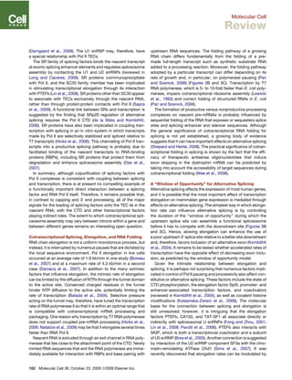 (Damgaard et al., 2008). The U1 snRNP may, therefore, have
a special relationship with Pol II TECs.
The SR family of splicing factors binds the nascent transcript
at exonic splicing enhancer elements and regulates spliceosome
assembly by contacting the U1 and U2 snRNPs (reviewed in
Long and Caceres, 2009). SR proteins coimmunoprecipitate
with Pol II, and the SC35 family member has been implicated
in stimulating transcriptional elongation through its interaction
with PTEFb (Lin et al., 2008). SR proteins other than SC35 appear
to associate with TECs exclusively through the nascent RNA,
rather than through protein:protein contacts with Pol II (Sapra
et al., 2009). A functional link between SRs and transcription is
suggested by the ﬁnding that SRp20 regulation of alternative
splicing requires the Pol II CTD (de la Mata and Kornblihtt,
2006). SR proteins have also been implicated in coupling tran-
scription with splicing in an in vitro system in which transcripts
made by Pol II are selectively stabilized and spliced relative to
T7 transcripts (Hicks et al., 2006). This channeling of Pol II tran-
scripts into a productive splicing pathway is probably due to
facilitated binding of the nascent transcripts to RNA-binding
proteins (RBPs), including SR proteins that protect them from
degradation and enhance spliceosome assembly (Das et al.,
2007).
In summary, although copuriﬁcation of splicing factors with
Pol II complexes is consistent with coupling between splicing
and transcription, there is at present no compelling example of
a functionally important direct interaction between a splicing
factor and RNA Pol II itself. Therefore, it remains possible that,
in contrast to capping and 30
end processing, all of the major
signals for the loading of splicing factors onto the TEC lie in the
nascent RNA, with the CTD and other transcriptional factors
playing indirect roles. The extent to which cotranscriptional spli-
ceosome assembly may vary between introns within a gene and
between different genes remains an interesting open question.
Cotranscriptional Splicing, Elongation, and RNA Folding
RNA chain elongation is not a uniform monotonous process, but
instead, it is interrupted by numerous pauses that are dictated by
the local sequence environment. Pol II elongation in live cells
occurred at an average rate of 1.9 kb/min in one study (Boireau
et al., 2007) and at a maximum rate of 4.3 kb/min in a second
case (Darzacq et al., 2007). In addition to the many extrinsic
factors that inﬂuence elongation, the intrinsic rate of elongation
can be limited by the diffusion of NTPs through the funnel domain
to the active site. Conserved charged residues in the funnel
hinder NTP diffusion to the active site, potentially limiting the
rate of transcription (Batada et al., 2004). Selective pressure
acting on the funnel may, therefore, have tuned the transcription
rate of RNA polymerase II so that it is within an optimal range that
is compatible with cotranscriptional mRNA processing and
packaging. One reason why transcription by T7 RNA polymerase
does not support coupled pre-mRNA processing (Hicks et al.,
2006; Natalizio et al., 2009) may be that it elongates several times
faster than RNA Pol II.
Nascent RNA is extruded through an exit channel in RNA poly-
merase that lies close to the attachment point of the CTD. Newly
minted RNA sequences that exit the RNA polymerase are imme-
diately available for interaction with RBPs and base pairing with
upstream RNA sequences. The folding pathway of a growing
RNA chain differs fundamentally from the folding of a pre-
made full-length transcript such as synthetic substrate RNA
added to a processing reaction. Moreover, the folding pathway
adopted by a particular transcript can differ depending on its
rate of growth and, in particular, on polymerase pausing (Pan
and Sosnick, 2006) (Figures 3B and 3C). Transcription by T7
RNA polymerase, which is 5- to 10-fold faster than E. coli poly-
merase, impairs cotranscriptional ribosome assembly (Lewicki
et al., 1993) and correct folding of structured RNAs in E. coli
(Pan and Sosnick, 2006).
The formation of productive versus nonproductive processing
complexes on nascent pre-mRNAs is probably inﬂuenced by
sequential folding of the RNA that exposes or sequesters splice
sites and splicing enhancer and silencer sequences. Although
the general signiﬁcance of cotranscriptional RNA folding for
splicing is not yet established, a growing body of evidence
suggests that it can have important effects on alternative splicing
(Shepard and Hertel, 2008). The practical signiﬁcance of cotran-
scriptional folding in splicing is shown by the fact that the efﬁ-
cacy of therapeutic antisense oligonucleotides that induce
exon skipping in the dystrophin mRNA can be predicted by
taking into account the accessibility of target sequences during
cotranscriptional folding (Wee et al., 2008).
A ‘‘Window of Opportunity’’ for Alternative Splicing
Alternative splicing affects the expression of most human genes,
and it is possible that the most important effect of transcription
elongation on mammalian gene expression is mediated through
effects on alternative splicing. The simplest way in which elonga-
tion rate can inﬂuence alternative splicing is by controlling
the duration of the ‘‘window of opportunity’’ during which the
upstream splice site can assemble a functional spliceosome
before it has to compete with the downstream site (Figures 3B
and 3C). Hence, slowing elongation can enhance the use of
a poor upstream 30
splice site relative to a better site downstream
and, therefore, favors inclusion of an alternative exon (Kornblihtt
et al., 2004). It remains to be tested whether accelerated rates of
transcription have the opposite effect of decreasing exon inclu-
sion, as predicted by the window of opportunity model.
Given the intimate relationship between elongation and
splicing, it is perhaps not surprising that numerous factors impli-
cated in control of Pol II pausing and processivity also affect con-
stitutive or alternative splicing. These factors include the state of
CTD phosphorylation, the elongation factor Spt5, promoter- and
enhancer-associated transcription factors, and coactivators
(reviewed in Kornblihtt et al., 2004), as well as covalent histone
modiﬁcations (Kolasinska-Zwierz et al., 2009). The molecular
basis for the connection between splicing and elongation is
still unresolved; however, it is intriguing that the elongation
factors PTEFb, CA150, and TAT-SF1 all associate directly or
indirectly with spliceosomal U snRNPs (Fong and Zhou, 2001;
Lin et al., 2008; Pandit et al., 2008). PTEFb also interacts with
SKIP, which is both a transcriptional coactivator and a subunit
of U5 snRNP (Bres et al., 2005). Another connection is suggested
by interaction of the U2 snRNP component SF3a with the chro-
matin-remodeling ATPase Chd1 (Sims et al., 2007). It was
recently discovered that elongation rates can be modulated by
182 Molecular Cell 36, October 23, 2009 ª2009 Elsevier Inc.
Molecular Cell
Review
 
