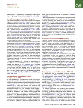 the accuracy of 30
processing by preventing Rna15 from recog-
nizing cryptic poly(A) sites within genes (Bucheli et al., 2007).
30
End Processing and Transcription Elongation
Like exons, poly(A) sites are associated with their own chromatin
signature: a localized nucleosome depletion over the AATAAA
consensus sequence (Spies et al., 2009). The function of this
chromatin feature is unknown, but it could cause a local increase
in transcriptional elongation rate that might inﬂuence 30
process-
ing. Further downstream, Pol II pausing 1–2 kb past the poly(A)
site is common to many genes (Boireau et al., 2007; Darzacq
et al., 2007; Glover-Cutter et al., 2008) (Figure 1B). At this pause
site, CTD Ser2 is highly phosphorylated (Figure 1), and maximal
levels of cleavage/polyadenylation factors are associated with
the TEC (Glover-Cutter et al., 2008). Although the precise rela-
tionship between poly(A) site processing and subsequent tran-
scription termination is unclear, it seems likely that both events
are coordinated with the downstream pause.
Alternative poly(A) site choice has recently been recognized as
a widespread phenomenon that shapes the repertoire of 30
UTR
sequences (Licatalosi et al., 2008; Sandberg et al., 2008) and
is perturbed in cancer cells (Mayr and Bartel, 2009). It is possible
that the rate of transcriptional elongation can affect the choice
between alternative poly(A) sites, and if this were the case,
then effects of chromatin structure on elongation at 30
ends could
inﬂuence these important RNA processing decisions. Although
early recruitment of 30
end-processing factors appears to be
a general phenomenon, it remains to be determined whether
RNA cleavage at the poly(A) site always precedes transcription
termination or whether the timing of cleavage and termination
differs between genes.
Poly(A) site cleavage at the 30
end may not be sufﬁcient to cut
the mRNA loose from the TEC. In mammalian cells, an additional
release step requires the CTD (Custodio et al., 2007) and
completion of splicing (Rigo and Martinson, 2009). In yeast, the
THO complex, the RNA helicase Sub2, the export factor
Mex67, and the phosphatase Glc7 remodel the RNP at the 30
end of the gene and pry it away from the cleavage/polyadenyla-
tion apparatus (Gilbert and Guthrie, 2004; Qu et al., 2009; Rouge-
maille et al., 2008).
Cotranscriptional Recruitment of Factors
that Dismantle the TEC
A major advantage of cotranscriptional rather than posttran-
scriptional recognition of 30
end-processing sites is that it
permits the coupling of transcription termination with recognition
of the poly(A) signal that marks the end of the message
(Rosonina et al., 2006). There are two main models for how
cleavage/polyadenylation factors stimulate dissociation of the
extraordinarily stable TEC. The ‘‘allosteric’’ model invokes a
poly(A) site-dependent conformational change in the TEC that
reduces its processivity. The ‘‘torpedo’’ model, on the other
hand, proposes that the cut site in the nascent RNA permits
access to a 50
-30
RNA exonuclease that degrades the nascent
RNA tail and destabilizes the TEC. Evidence on these models
is divided, but in both the allosteric and torpedo scenarios, it is
clear that cotranscriptional loading of 30
end-processing factors,
including Pcf11 and the 50
-30
RNA exonuclease Xrn2/Rat1, ulti-
mately leads to dissociation of the TEC (reviewed in Rosonina
et al., 2006).
A second mechanism of Pol II termination is employed in yeast
at noncoding genes that lack poly(A) sites. At these genes,
a complex comprising Nrd1, Nab3, and the RNA helicase Sen1
is recruited to the TEC and terminates transcription indepen-
dently of a 50
-30
RNA exonuclease (Steinmetz et al., 2001; Kim
et al., 2006). The Nrd1 protein binds directly to Ser5-phosphory-
lated CTD heptads (Vasiljeva et al., 2008), as well as RNA. Posi-
tion-speciﬁc CTD phosphorylation on Ser5 at 50
ends of genes
ensures that this mechanism of termination only operates at
short distances from the transcription start site (Gudipati et al.,
2008). In summary, Pol II TECs, in a carefully regulated way,
recruit the factors that ultimately lead to their dissociation from
the template.
Specialized Cotranscriptional RNA Processing
In addition to capping, splicing, and cleavage/polyadenylation,
some transcripts are processed cotranscriptionally by A-I editing
or miRNA excision from introns. In the nascent GluR-B pre-
mRNA, an ADAR (adenosine deaminase acting on RNA) recog-
nizes RNA duplexes formed by intramolecular base pairing
between exon 11 and intron 11 and converts an A to I, thereby
switching a Q codon to R. Editing in this case must occur before
splicing, and the Pol II CTD is implicated in imposing this
sequence of events (Ryman et al., 2007).
miRNAs are released from Pol II-transcribed precursors by the
microprocessor complex that includes the RNase III family
member Drosha, which clips miRNA precursors at the base of
a hairpin. Drosha is found at genes harboring intronic miRNAs
(Morlando et al., 2008), strongly suggesting that it works cotran-
scriptionally. Furthermore, miRNA excision from introns is
completely compatible with splicing (Kim and Kim, 2007). The
microprocessor associates with spliceosomes (Kataoka et al.,
2009), but it is not known whether, like RNA editing, the timing
of miRNA excision relative to splicing is regulated by interactions
with Pol II.
Packaging, Export, and the Determination of RNA Fate
As it is extruded from the polymerase, a nascent transcript
encounters numerous RBPs, including cap binding complex
(CBC) (Listerman et al., 2006; Visa et al., 1996), hnRNPs (Dane-
holt, 2001), SR proteins (Long and Caceres, 2009), the exon-
junction complex (EJC) (Custodio et al., 2004), and zipcode-
binding proteins (ZBP) (Pan et al., 2007), some of which remain
attached for much of the transcript’s lifetime. In this way, cotran-
scriptional RBP loading governs the transport, translation, cyto-
plasmic localization, and life span of the mRNA (Daneholt, 2001;
Glisovic et al., 2008).
In addition to providing early protection from nucleases,
cotranscriptionality may impose order on RBP association with
the nascent transcript as the mature mRNP assembles. For
example, CBC association with the 50
cap early in transcript
synthesis (Listerman et al., 2006; Visa et al., 1996) may direct
subsequent interaction with the TREX complex (Cheng et al.,
2006). TREX comprises a subcomplex called THO plus the
export adaptor REF/Aly (Yra1 in yeast) and the RNA helicase
UAP56 (Sub2 in yeast) (Figure 4B). TREX associates with the
Molecular Cell 36, October 23, 2009 ª2009 Elsevier Inc. 185
Molecular Cell
Review
 