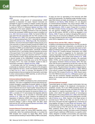 TEC and enhances elongation and mRNA export (Strasser et al.,
2002).
A particularly critical aspect of cotranscriptional mRNP
assembly is preparation for export. Nascent transcripts are
packaged for export by loading of adaptor proteins that allow
the mature mRNP to engage the export receptors Mex67/Mtr2
in yeast and TAP/p15 in metazoans (Iglesias and Stutz, 2008).
Recruitment of the export adaptors Yra1 and REF/Aly to the
nascent transcript is carefully monitored so that only perfectly
formed fully processed mRNPs become export competent (Lei
et al., 2001; Schmid and Jensen, 2008). Yra1 binds the RNA heli-
case Sub2 that also associates with the THO complex on the
TEC (Strasser et al., 2002). Yra1 recruitment requires interaction
with a 30
end-processing factor, Pcf11, that binds the phosphor-
ylated CTD (Johnson et al., 2009) (Figure 4B). This mechanism,
therefore, may ensure that export adaptor loading will only occur
if the machinery is in place to properly process the mRNA 30
end.
The mechanism of Yra1 loading also illustrates how the order of
assembly of mRNPs can be determined by the sequence of CTD
phosphorylation. Ser2 phosphorylation speciﬁcally facilitates
recruitment of Pcf11 and thereby indirectly speciﬁes recruitment
of the export factor Yra1 at later times in the transcription cycle.
Following initial Yra1 loading by interaction with Pcf11, it is prob-
ably transferred to Sub2, whose helicase activity then facilitates
a second transfer to the mRNA/Mex67 complex (Figure 4B).
Both handoff reactions most likely occur at the TEC because
all players, Pcf11, Yra1, Sub2, and Mex67, localize to sites of
transcription (reviewed in Iglesias and Stutz, 2008).
In mammalian cells, the Yra1 homolog Aly is loaded cotran-
scriptionally by interaction with Iws1, a partner of the elongation
factor Spt6 that, like Pcf11, binds CTD heptads phosphorylated
on Ser2 (Yoh et al., 2007). In summary, the sequence of CTD
phosphorylations that accompanies the transcription cycle helps
to direct cotranscriptional mRNP assembly, as well as the pro-
cessing of the nascent transcript.
Cotranscriptional Quality Control
Quality control of mRNPs is facilitated by their cotranscriptional
assembly. This notion is suggested by the fact that slowing tran-
scription elongation suppresses the growth defects of mutants
that disrupt mRNP formation (Jensen et al., 2004). Yeast mRNPs
that are deemed not to be of ‘‘export quality’’ because they have
improperly formed 30
ends are detained close to the site of tran-
scription in a process that requires the exosome (Hilleren et al.,
2001), a complex of 30
-50
exonucleases that degrades defective
RNAs. The exosome can be recruited to transcribed genes
(Andrulis et al., 2002) and could, therefore, be positioned for
degradation of defective mRNPs when they are released from
the template with exposed 30
ends. A possible mechanism of
exosome loading in yeast is through Nrd1 and Npl3, which
both bind the TEC and the exosome (Burkard and Butler, 2000;
Vasiljeva and Buratowski, 2006).
Invasive Nascent Transcripts and R Loops
Another important reason for having RNPs assemble cotran-
scriptionally, rather than posttranscriptionally, is to protect the
DNA template from invasion by naked RNA. When normal
cotranscriptional handling of nascent RNA by RBPs is disrupted,
R loops can form by reannealing of the transcript with DNA
behind the polymerase. The displaced single-stranded nontem-
plate DNA strands are highly recombinogenic, causing genetic
instability (Li and Manley, 2006). Similarly, in E. coli, disruption
of cotranscriptional translation may induce nascent mRNA, no
longer engaged with ribosomes, to form R loops (Gowrishankar
and Harinarayanan, 2004). In yeast, R loops form in mutants of
the TREX complex (Huertas and Aguilera, 2003). R loop forma-
tion and genomic instability also occur in mammalian cells
when the SR proteins, ASF/SF2, or SC35 are depleted (Li and
Manley, 2006). R loops can obstruct elongating RNA polymer-
ases if they are not removed by RNaseH, and this mechanism
may help to explain the pile-ups of Pol II within transcribed genes
when SC35 is depleted (Lin et al., 2008).
Nuclear Pores and the TEC, a Role in ‘‘Gating’’?
In addition to processing and export factors, the TEC can also be
contacted by nuclear pore components, as predicted by the
‘‘gene gating’’ hypothesis, which proposes that export is facili-
tated by localizing active genes at the pore (Akhtar and Gasser,
2007) (Figure 2A). Coupling between transcription and mRNP
exit from the nucleus is suggested by the observation that
ongoing transcription facilitates interaction of Chironomus Bal-
biani Ring (BR) RNPs with nuclear pores (Kylberg et al., 2008).
Speciﬁc promoters, transcriptional activators, the coactivator
SAGA, 30
UTRs, and the exosome have all been implicated in
‘‘gene gating’’ (reviewed in Akhtar and Gasser, 2007). TEC inter-
action with the pore is supported by the fact that, when the THO
complex is compromised, pore proteins accumulate at the 30
ends of genes. This phenomenon may reﬂect a trapped interme-
diate in normal mRNP export (Rougemaille et al., 2008). TREX2 is
a four-subunit complex that bridges the pore with the Mex67/
Mtr2 and the THO complex (Fischer et al., 2002). Recent resolu-
tion of the TREX2 structure (Jani et al., 2009) gives cause for opti-
mism that the connection between transcription and mRNP
delivery to the nuclear pore will ultimately be elucidated at the
atomic level.
Cotranscriptional Looping?
Transcribed genes can adopt a looped conformation that was
ﬁrst graphically revealed in the lampbrush chromosomes of
amphibian oocytes. Pol II and mRNA-processing factors are
distributed around lampbrush loops, and these structures criti-
cally depend on ongoing transcription (Gall et al., 1999). 3C
studies, which detect the spatial proximity of noncontiguous
DNA regions in the nucleus (Dekker et al., 2002), show that loops
also form between 50
and 30
ends of transcribed genes in somatic
cells (O’Sullivan et al., 2004). Insertion of the ﬁnger domain of
promoter-bound TFIIB into the RNA exit channel of Pol II at
both ends of the gene has been suggested as a mechanism for
tying together the base of a loop (Singh and Hampsey, 2007).
Cotranscriptional mRNA processing has also been proposed
to promote looping of the HIV provirus (Perkins et al., 2008).
Many questions remain about the role of cotranscriptional
events in gene looping, including: Are loops a result of threading
a gene through a stationary mRNA factory or a speciﬁc confor-
mation designed to facilitate communication and polymerase
recycling between the two ends of a gene? How often does
186 Molecular Cell 36, October 23, 2009 ª2009 Elsevier Inc.
Molecular Cell
Review
 