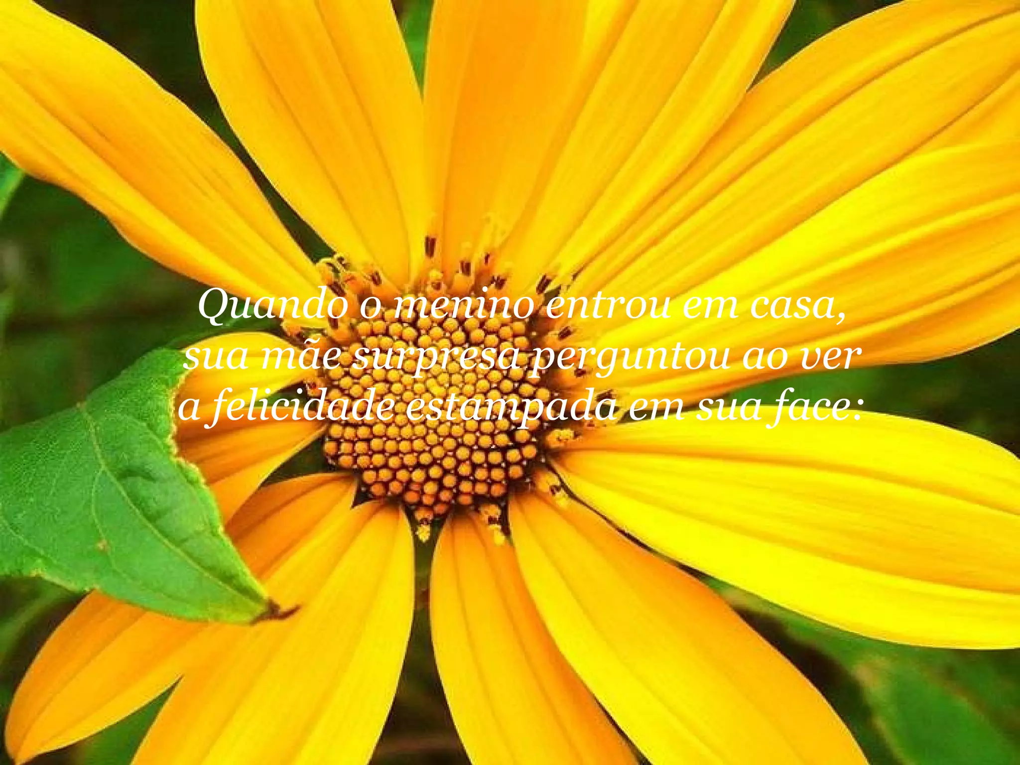 Quando o menino entrou em casa, sua mãe surpresa perguntou ao ver a felicidade estampada em sua face: 