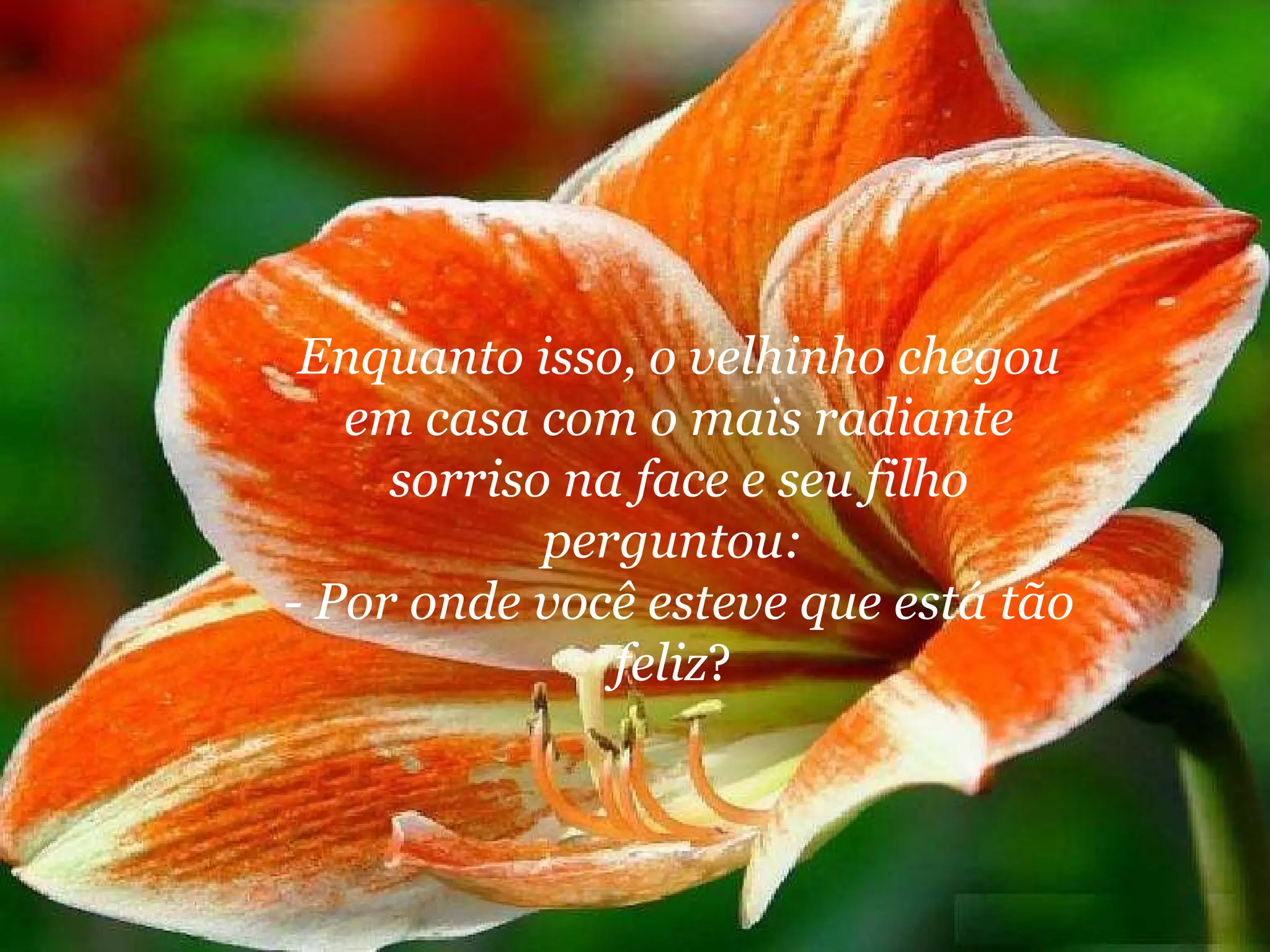 Enquanto isso, o velhinho chegou em casa com o mais radiante sorriso na face e seu filho perguntou:  - Por onde você esteve que está tão feliz ?  