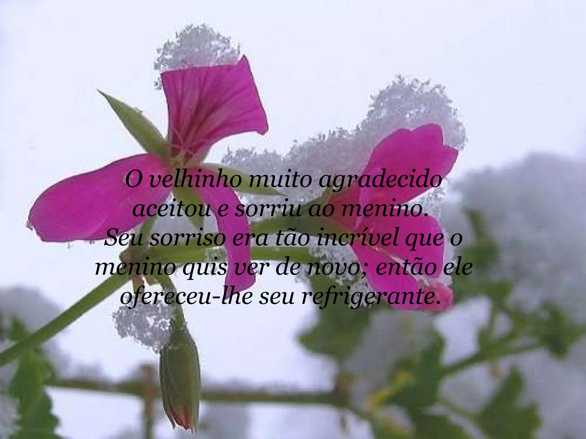 O velhinho muito agradecido aceitou e sorriu ao menino.  Seu sorriso era tão incrível que o menino quis ver de novo; então ele ofereceu-lhe seu refrigerante.  