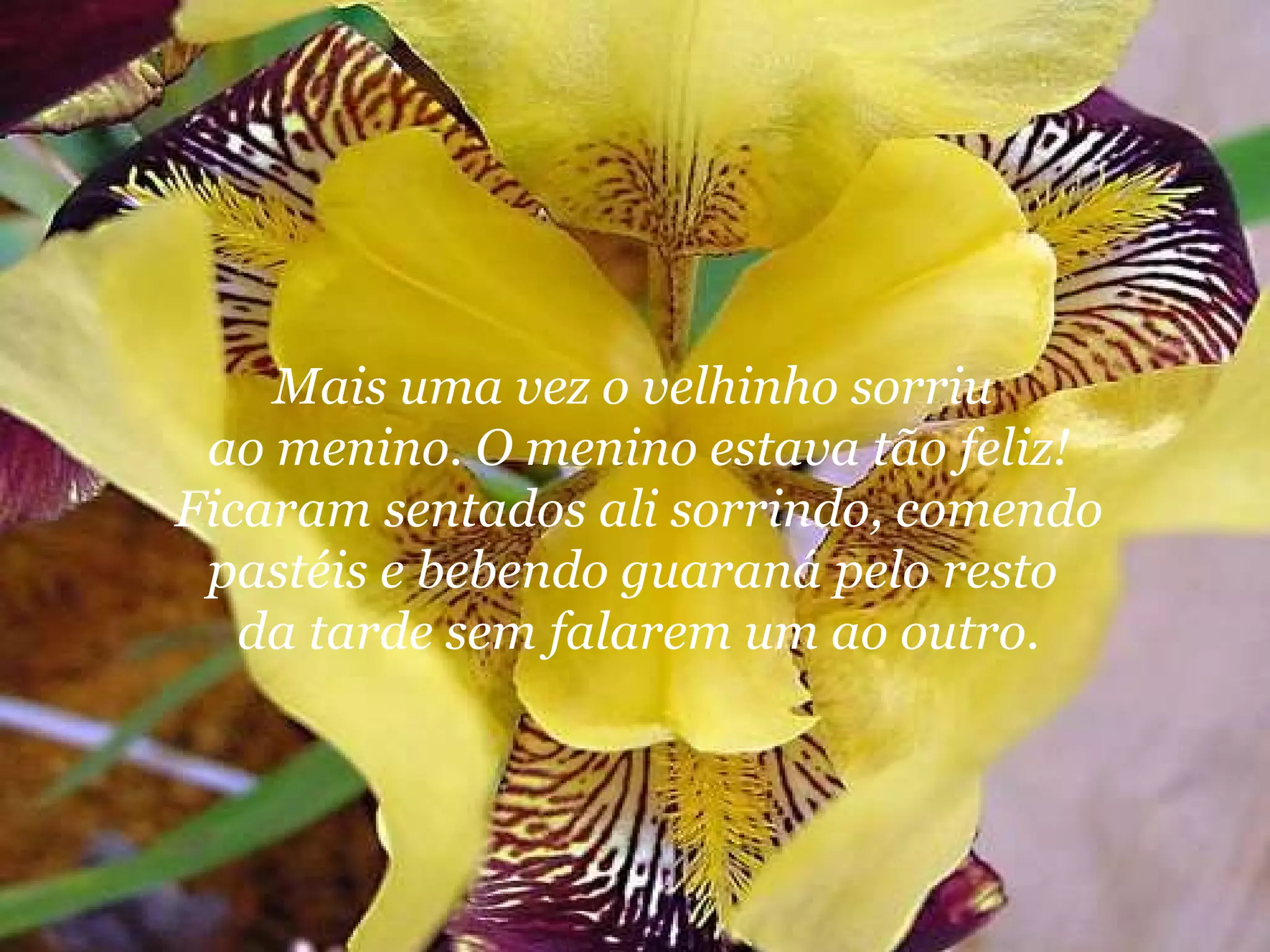 Mais uma vez o velhinho sorriu  ao menino. O menino estava tão feliz! Ficaram sentados ali sorrindo, comendo pastéis e bebendo guaraná pelo resto  da tarde sem falarem um ao outro. 
