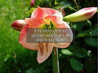 É TUDO O QUE EU QUERO SER PARA OS MEUS ALUNOS!  