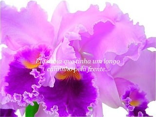 Ele sabia que tinha um longo
    caminho pela frente.
 