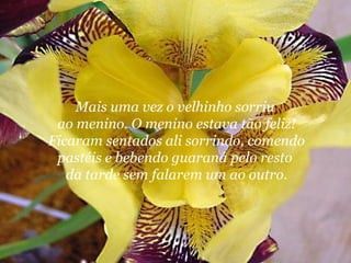 Mais uma vez o velhinho sorriu
 ao menino. O menino estava tão feliz!
Ficaram sentados ali sorrindo, comendo
 pastéis e bebendo guaraná pelo resto
   da tarde sem falarem um ao outro.
 