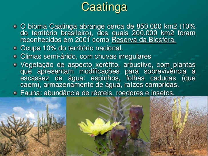 3999954 geografia-ppt-biomas-brasileiros