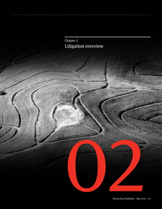 Norton Rose Fulbright – May 2015 07
02
Chapter 2
Litigation overview
 