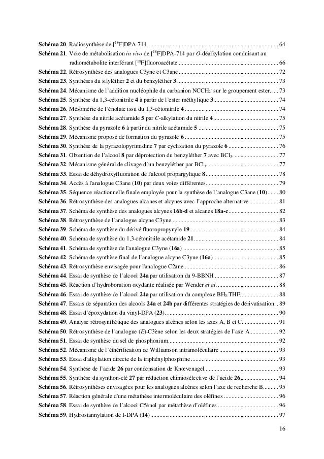 Dissertation book manuscript