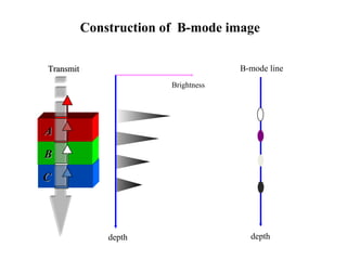 AA
BB
CC
Brightness
TransmitTransmit
depth depth
B-mode line
Construction of B-mode image
 