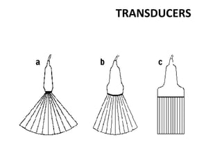TRANSDUCERS
 