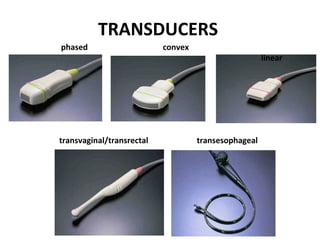 TRANSDUCERS
phased convex
linear
transvaginal/transrectal transesophageal
 