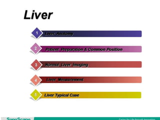 Basic training of ultrasound