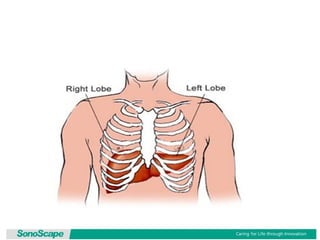 Basic training of ultrasound