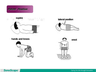 Basic training of ultrasound