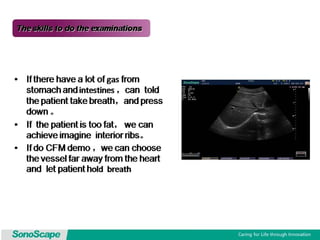 Basic training of ultrasound