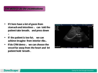 Basic training of ultrasound