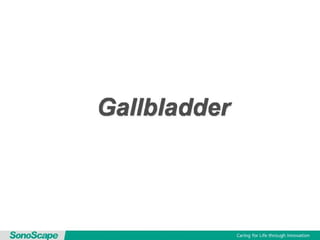 Basic training of ultrasound