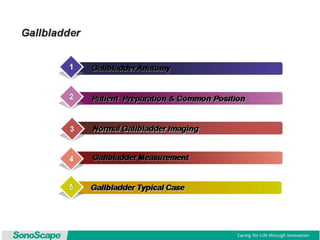 Basic training of ultrasound