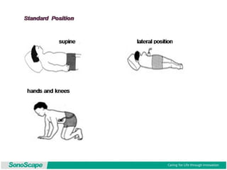 Basic training of ultrasound