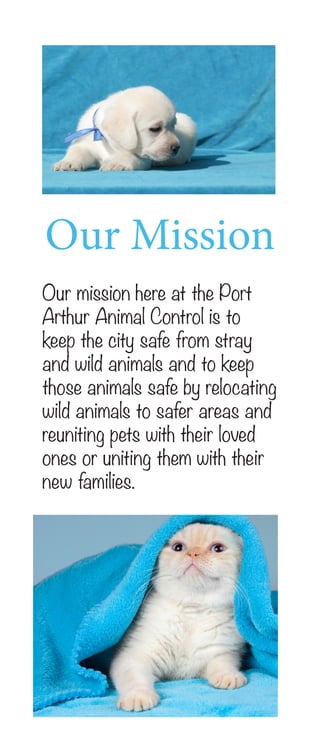 Our Mission
Our mission here at the Port
Arthur Animal Control is to
keep the city safe from stray
and wild animals and to keep
those animals safe by relocating
wild animals to safer areas and
reuniting pets with their loved
ones or uniting them with their
new families.
 